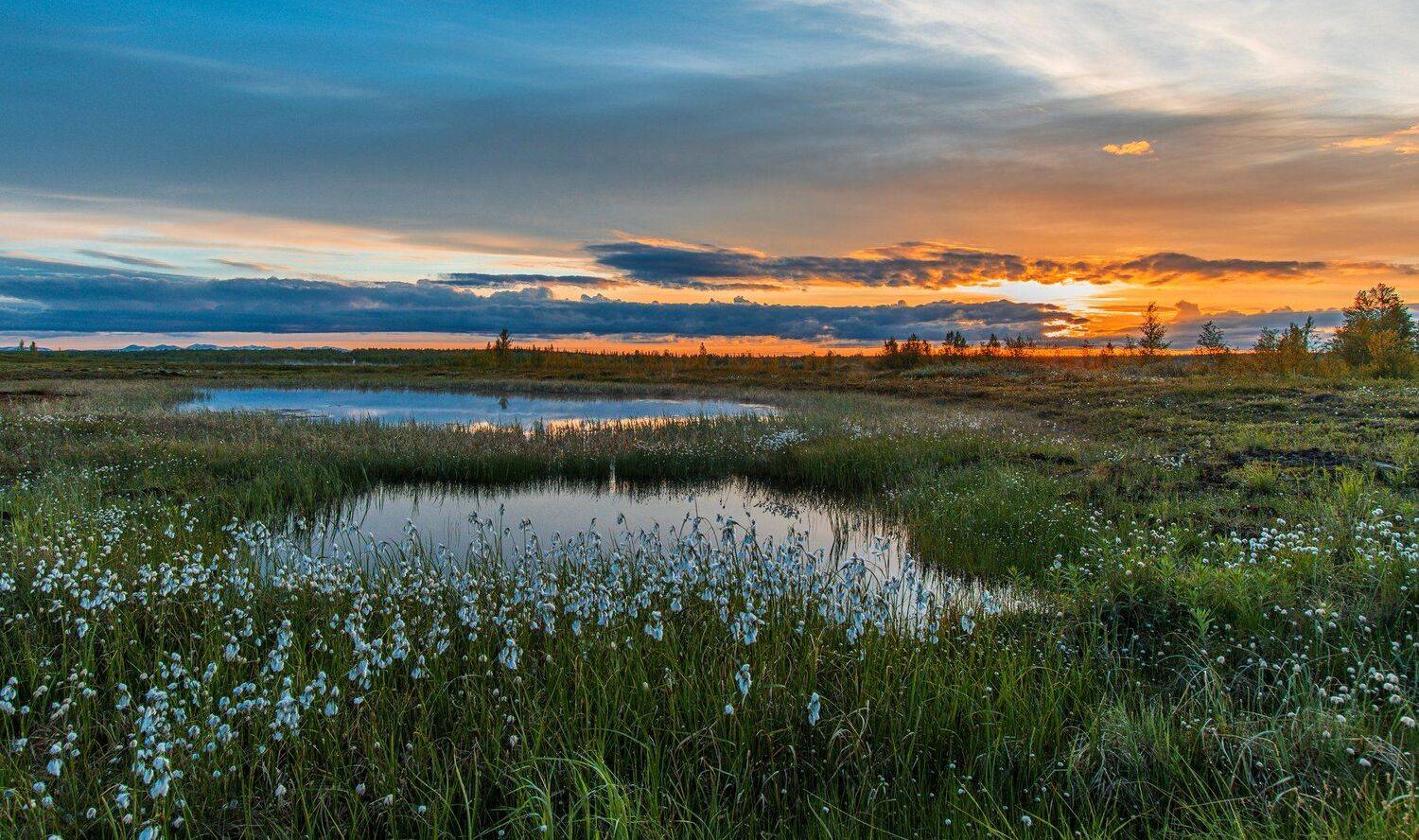 ямал , сибирь, природа, салехард , рассвет, ямал, Настя Братка