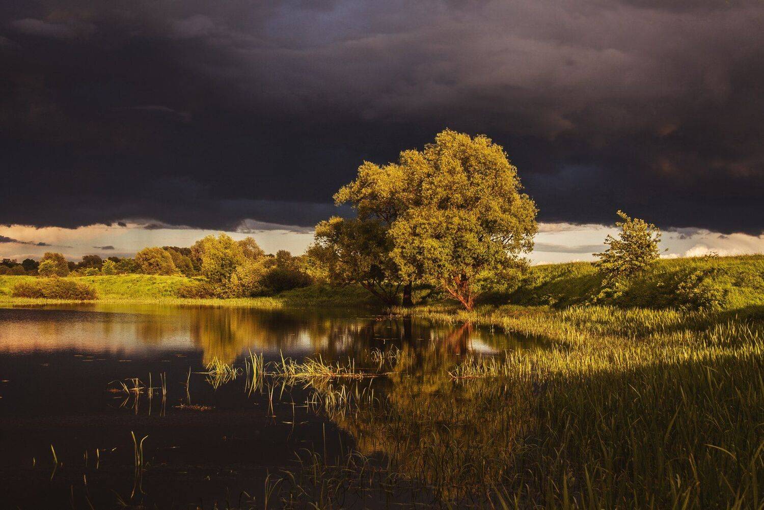 фото, природа, закат, пейзаж, природа, лес, река, Екатерина