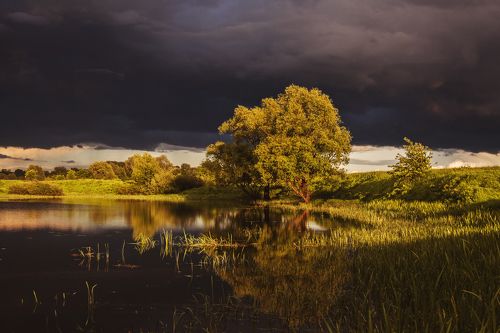 Последний луч солнца перед грозой