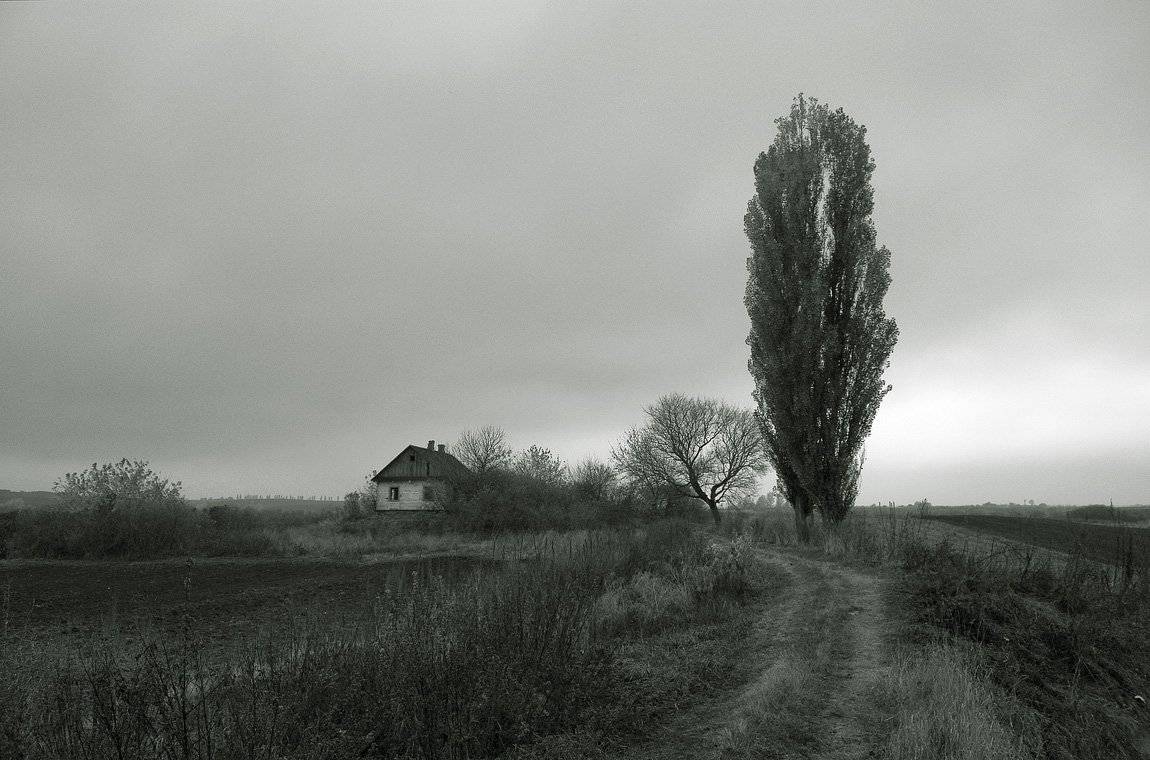 , Николай Шахманцир