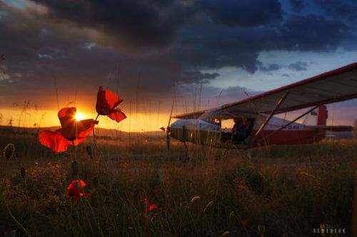 Им бы в небо.