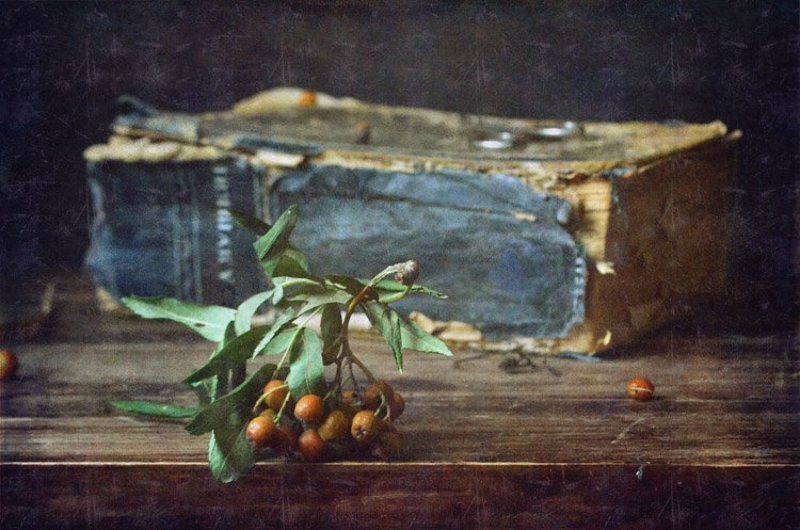 рябина, книга С рябиной фото превью