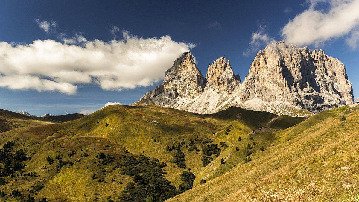 , Света  Черникова