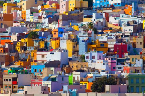 *Разноцветная жизнь*