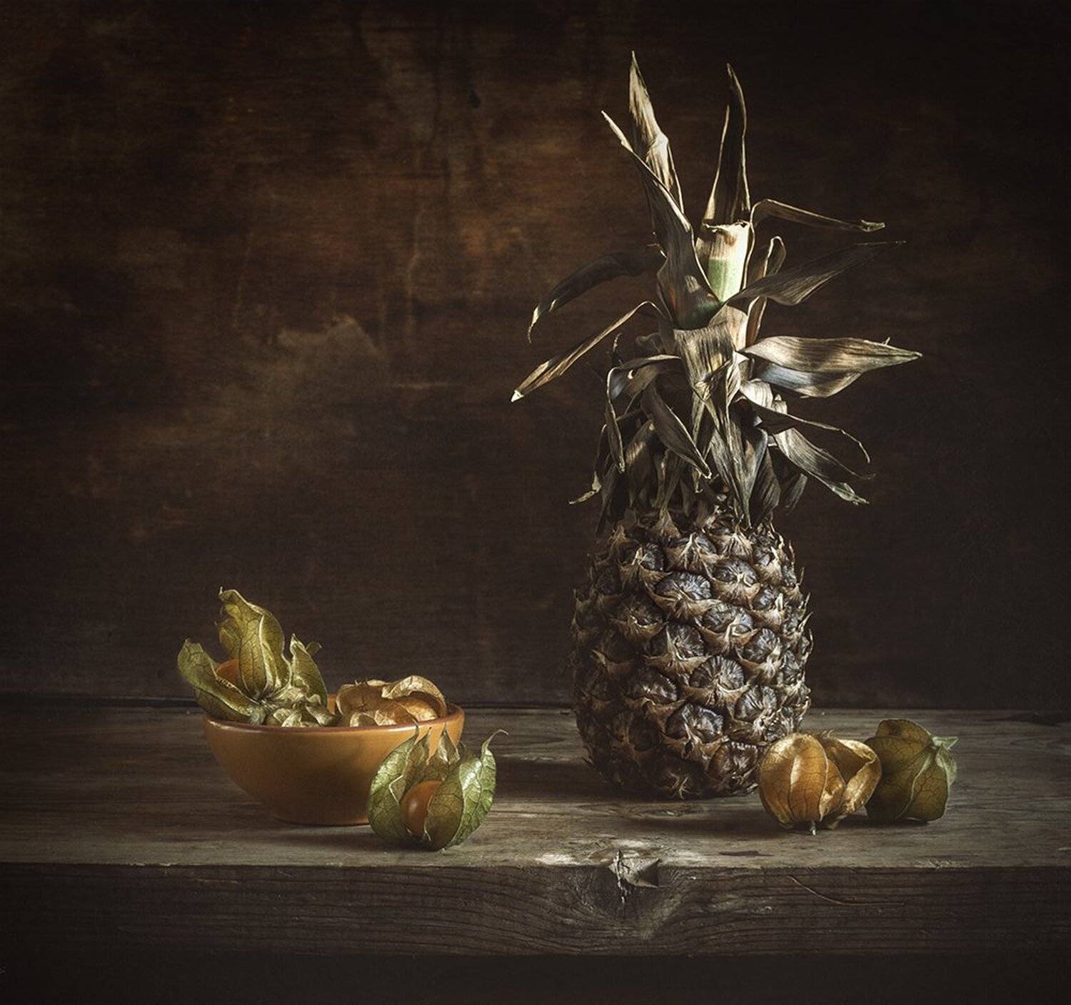 натюрморт, still life, ананас, фезалис, Евгений Корниенко