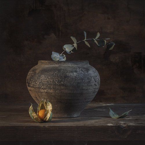 Натюрморт с физалисом