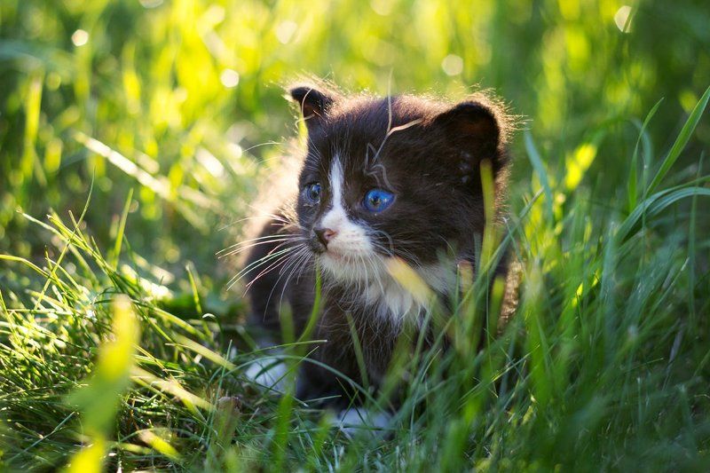 Первый день без мамы... фото превью