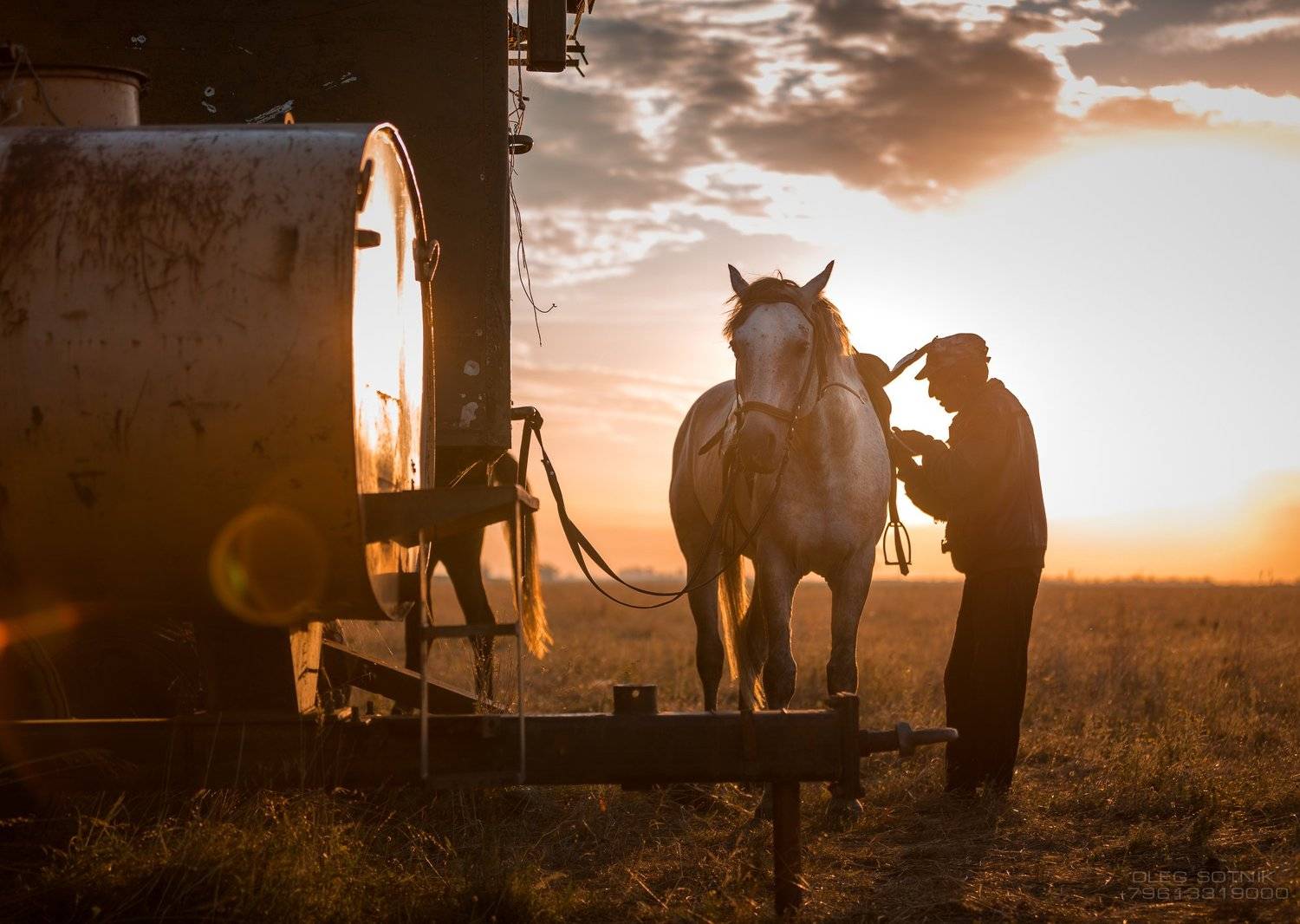 , Олег Сотник