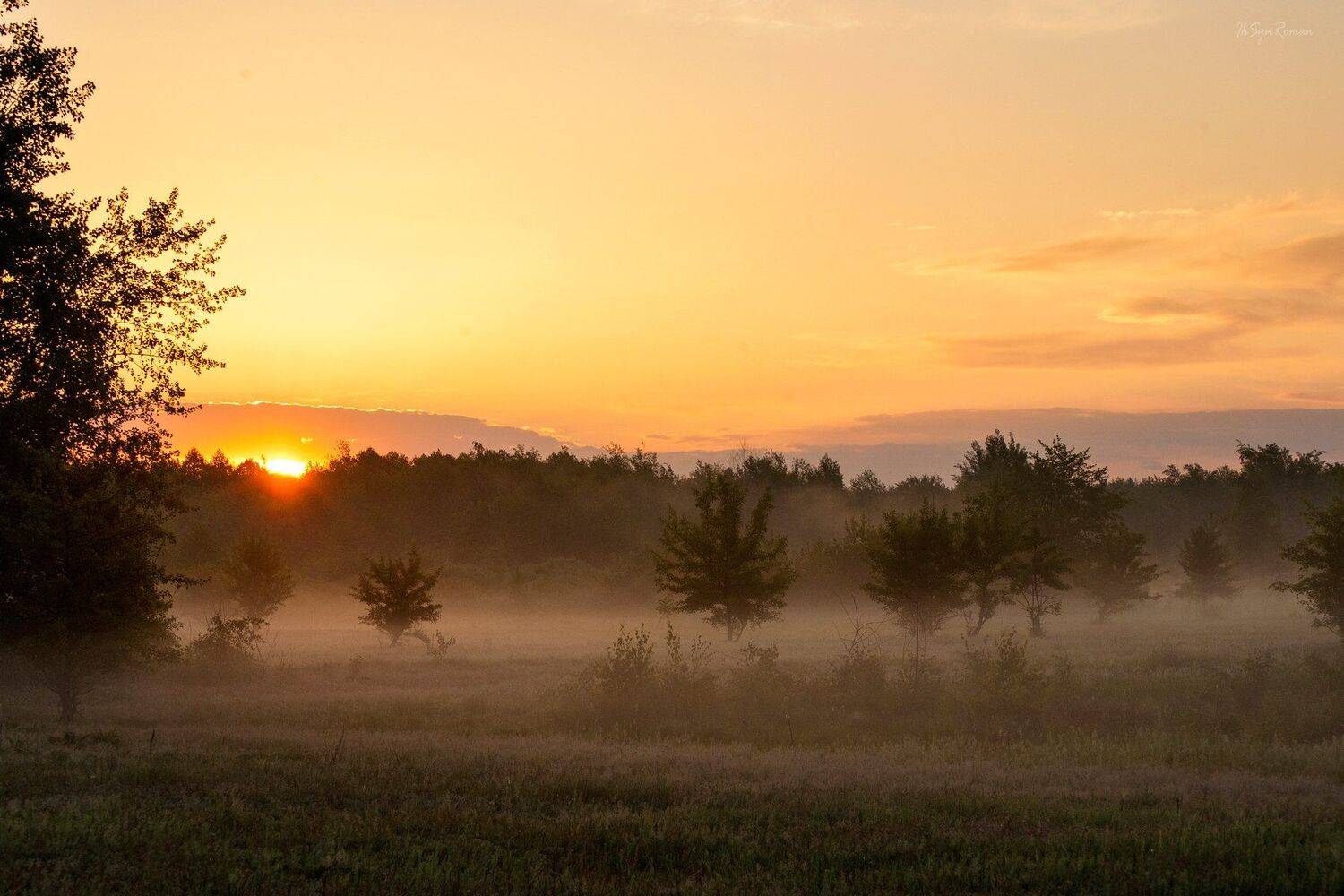 лето,утро,рассвет,туман,лес, Roma Krasov ( Chitinskiy )
