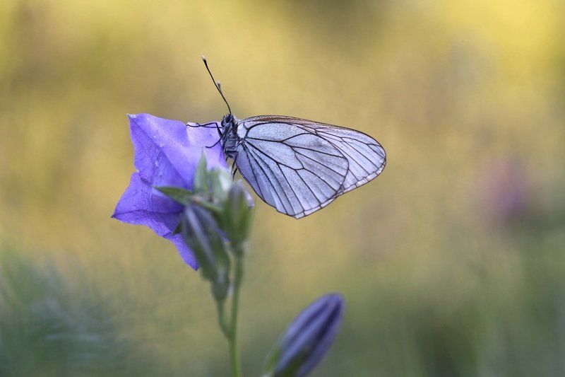 Summertime фото превью