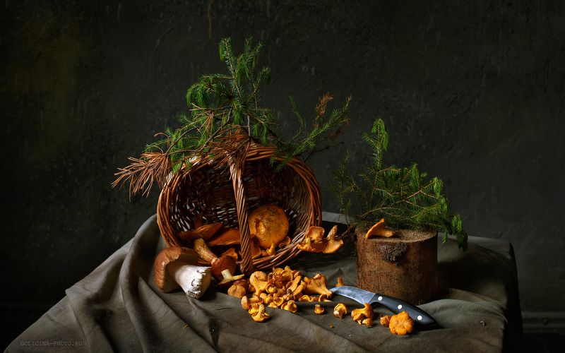 Лисичкины премудрости фото превью