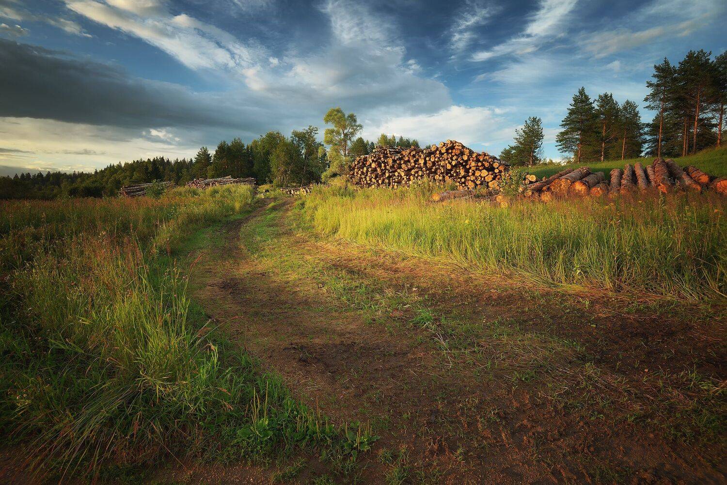 , Алексей Никонов