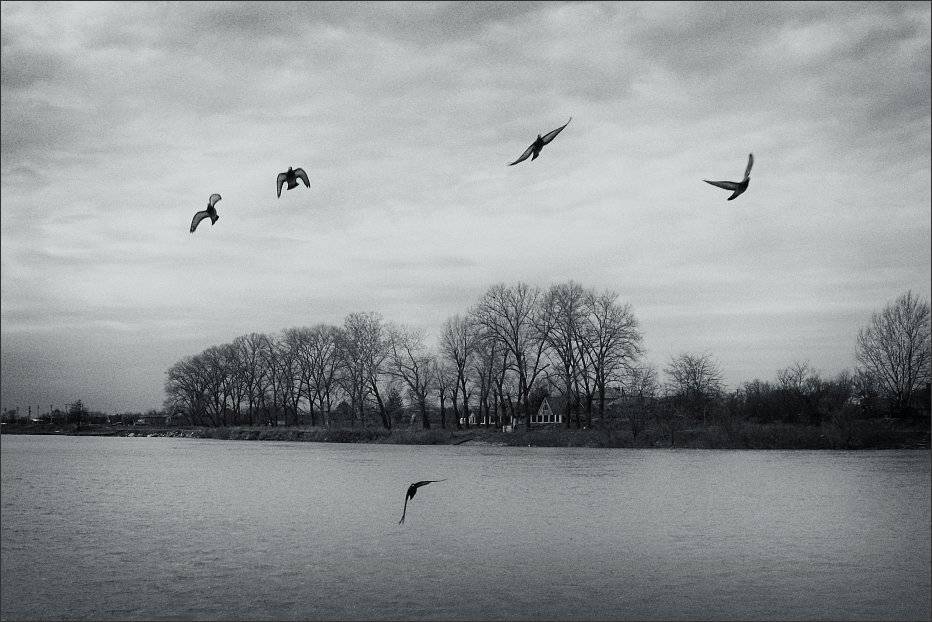 , Сергей Фудиненко