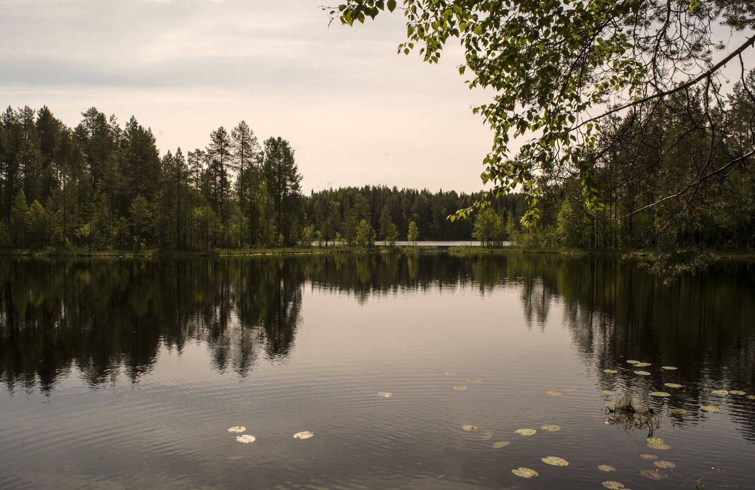 , Марина Никулина