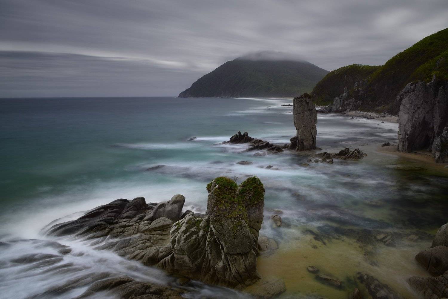 , Максим Евдокимов (www.wildphotorus.ru)