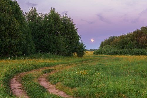 По дороге белых ночей