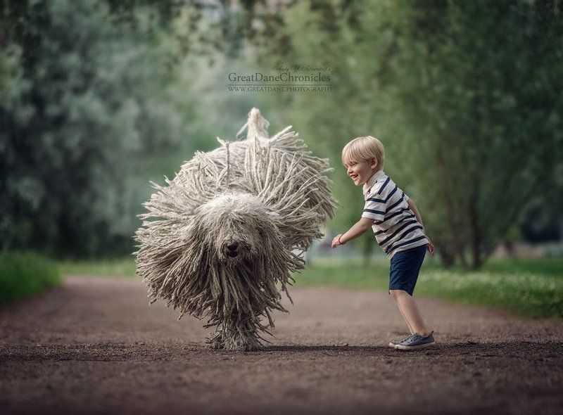 RETURN OF THE FLYING MOP фото превью