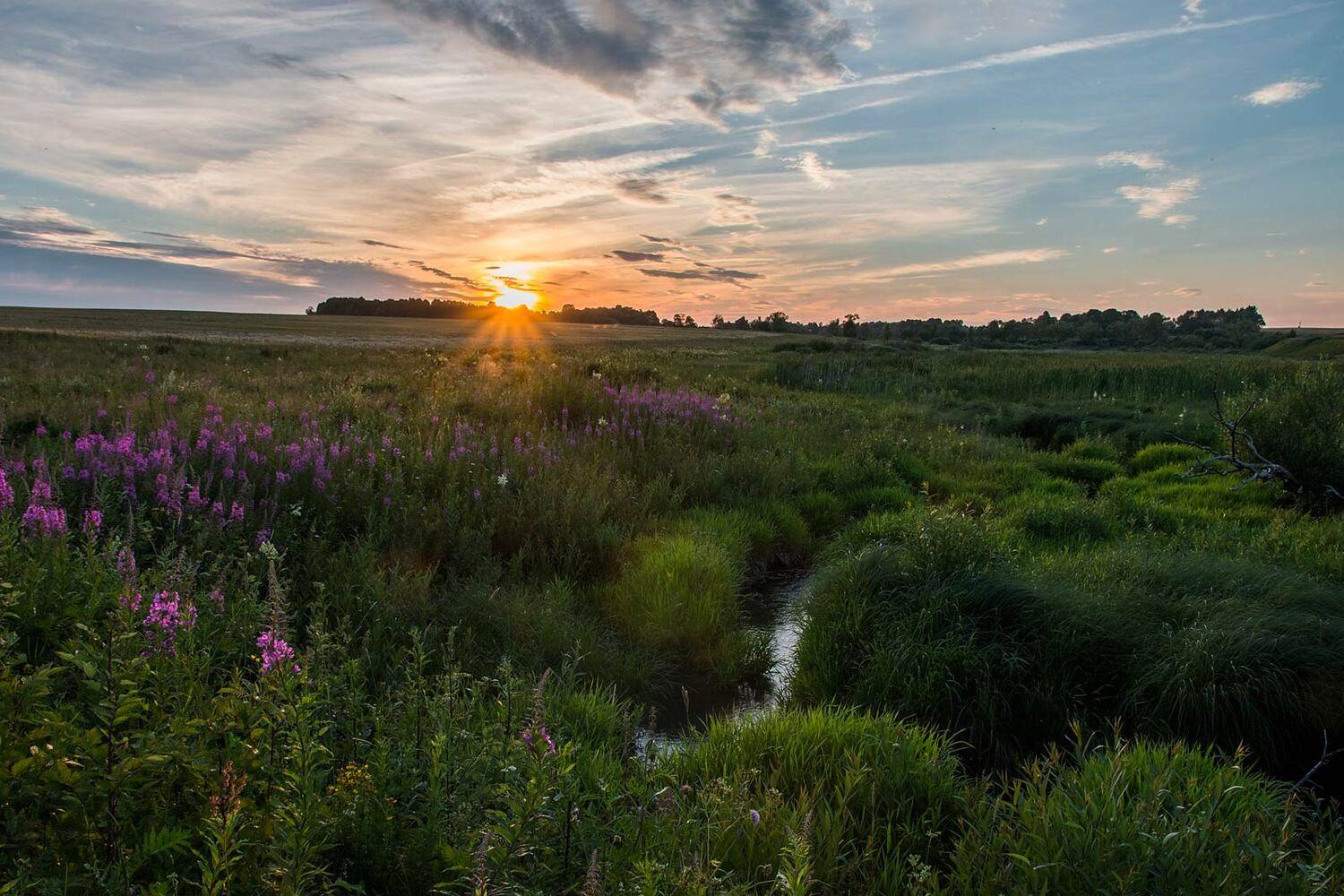 , Александр