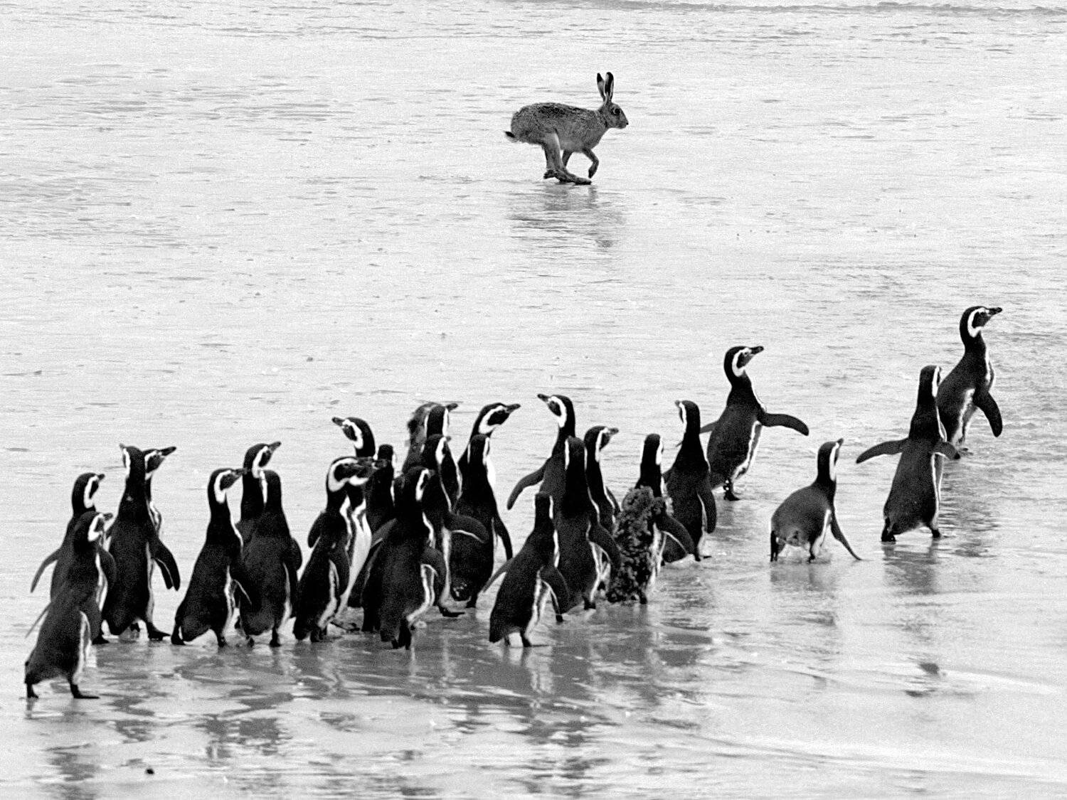 Экстрим, isamonov