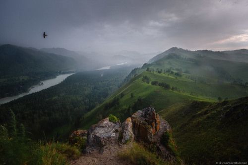 Перед грозой