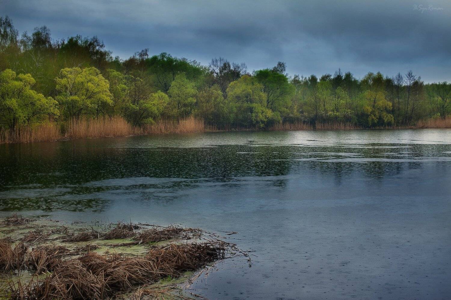 лето,  дождь,  река,  берега,  камыш, Roma Krasov ( Chitinskiy )