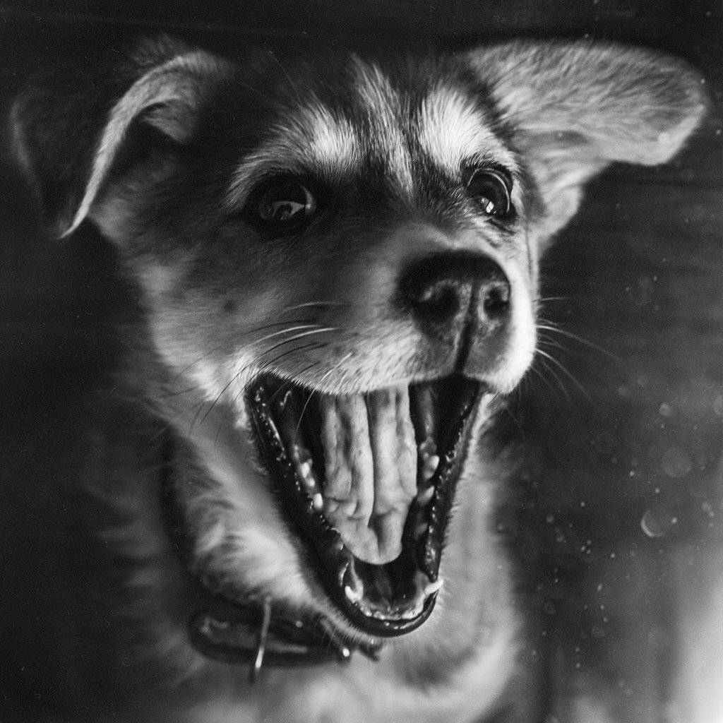 , Рублёв Дмитрий