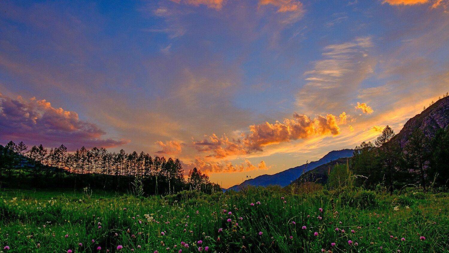 пейзаж, лето, Горный Алтай, Александр Потапов