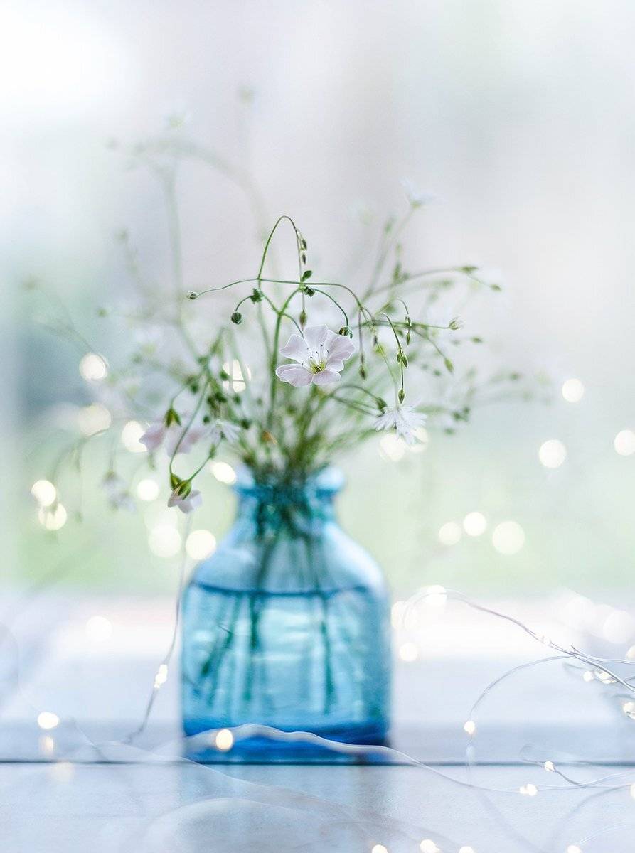 , Чернякова Анна