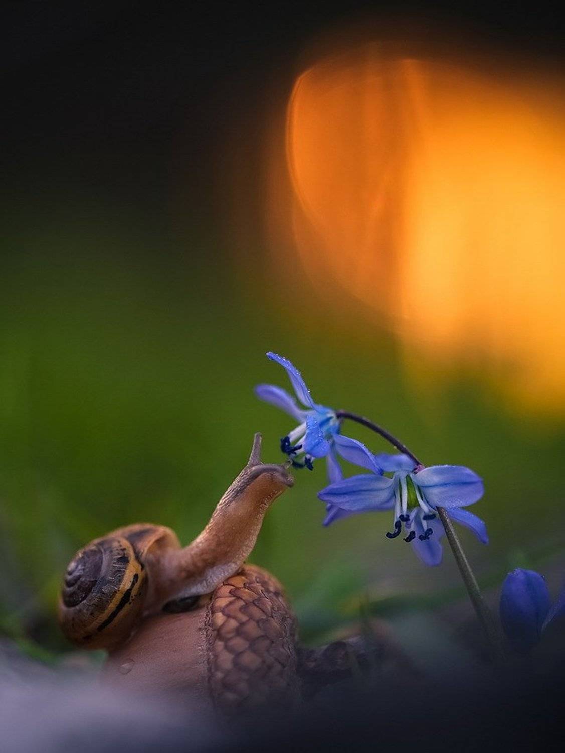 , Вячеслав Мищенко