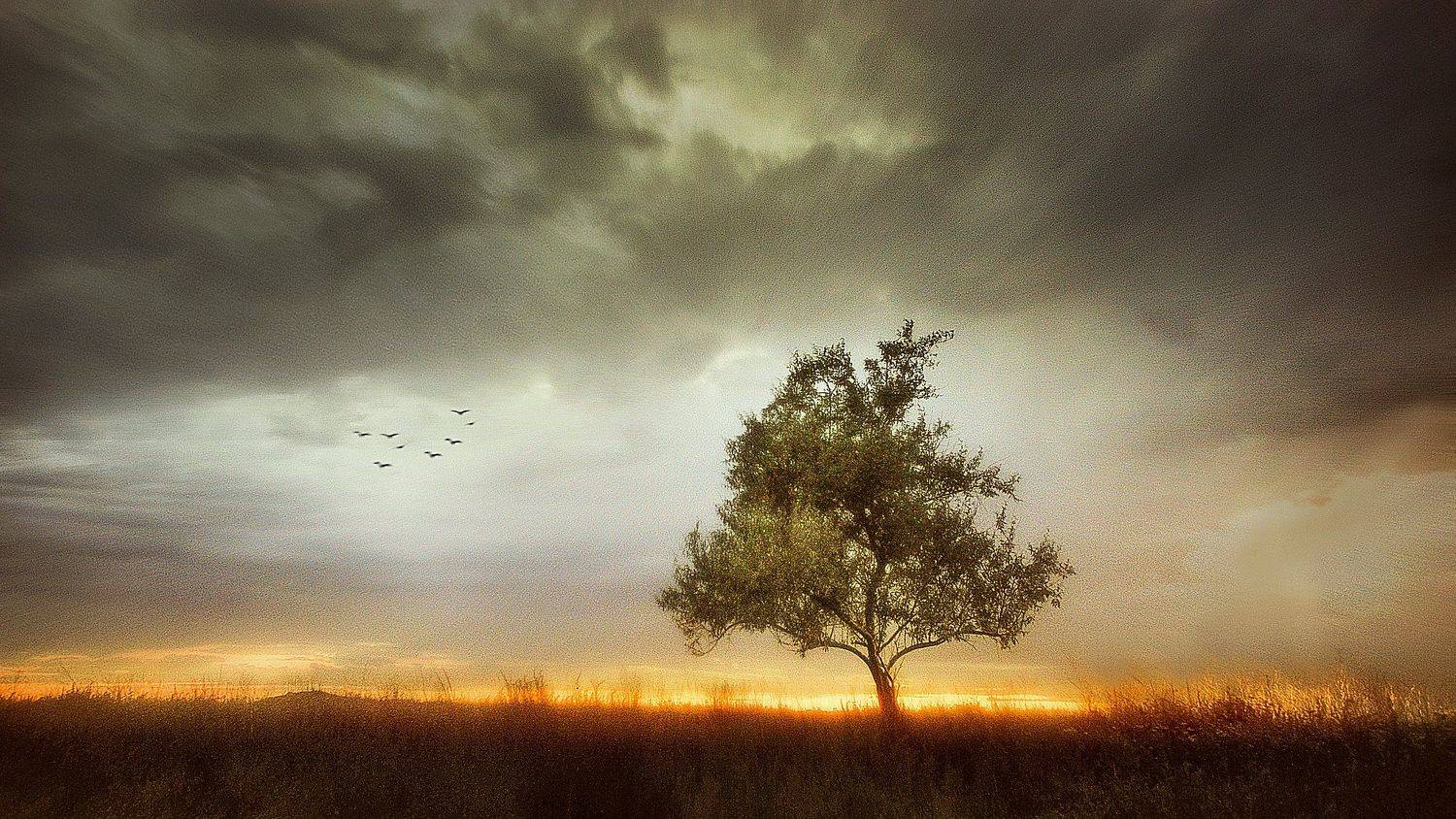 , Евгений Лемешкин