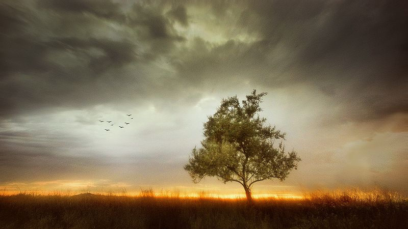 Вечерело фото превью