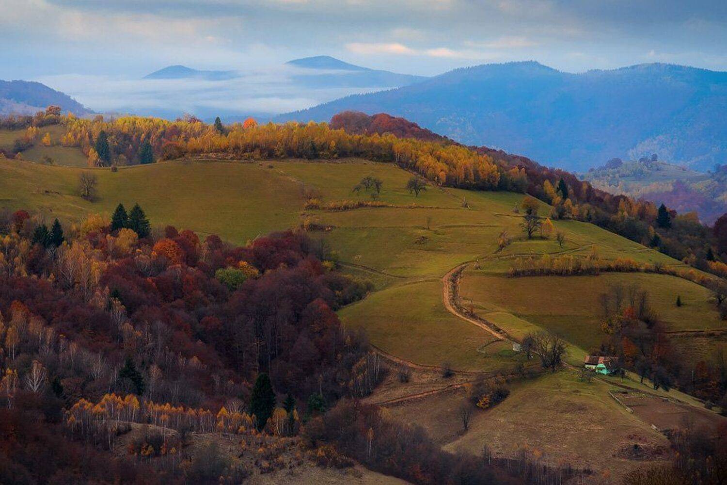 , Stefan Chirobocea