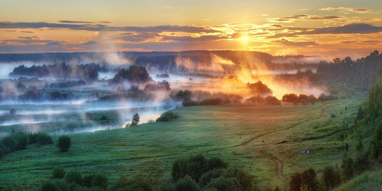 , Дмитрий Медянцев