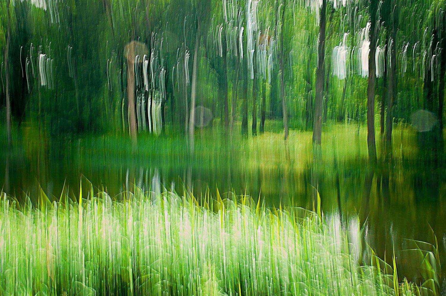 Nature photo, photography, art photo, Juris Zēbergs