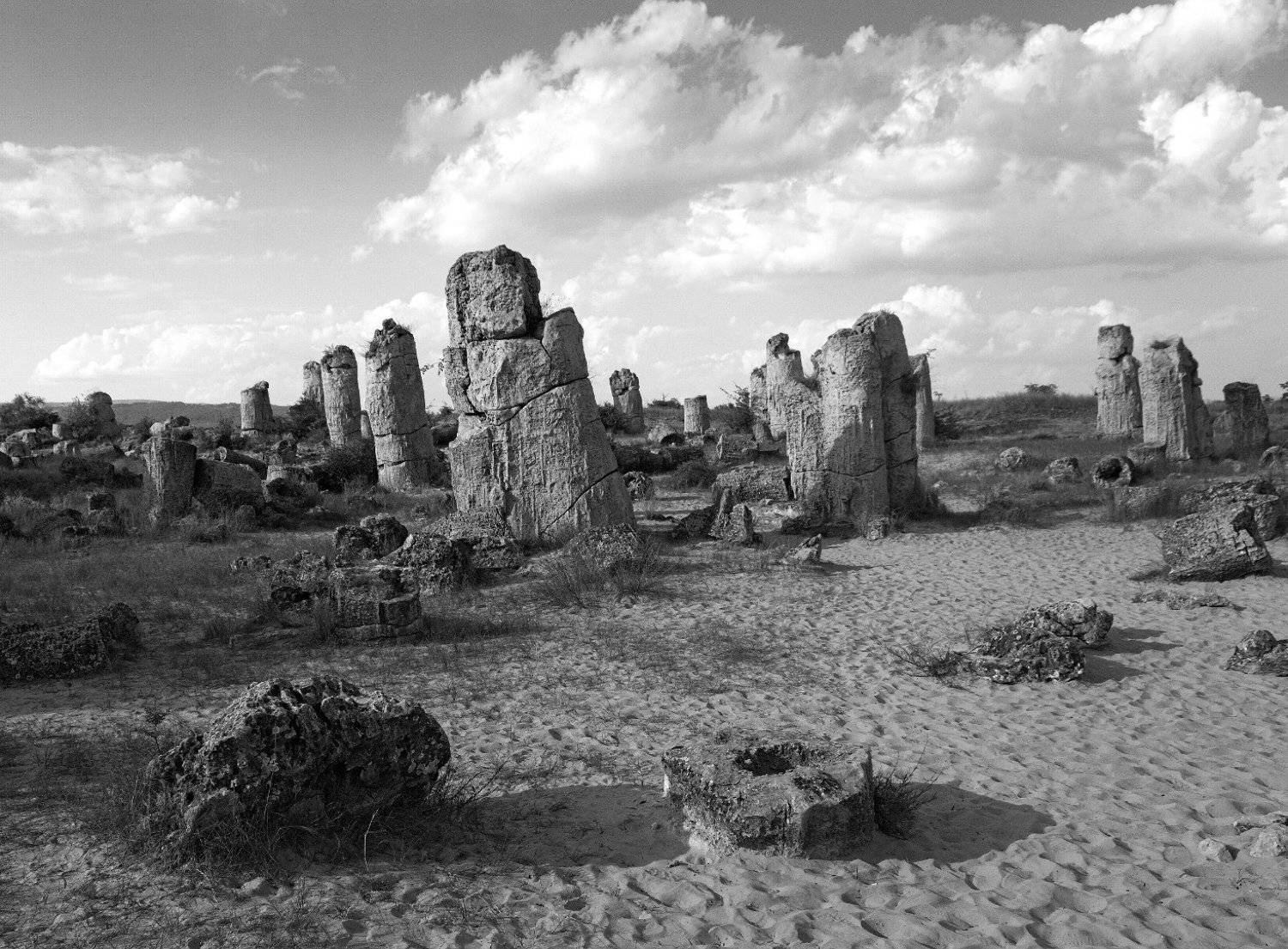 , Мартин Костадинов