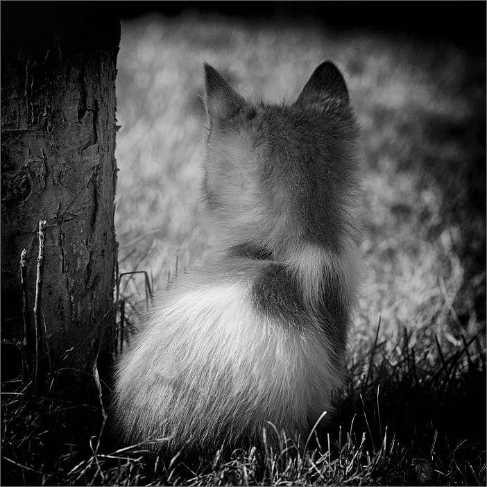 , Сергей Фудиненко