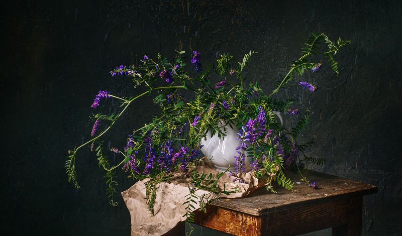 Мишиная прелюдия фото превью