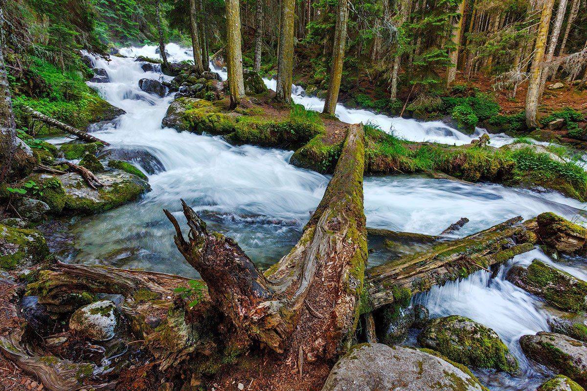 , Владимир Сковородников