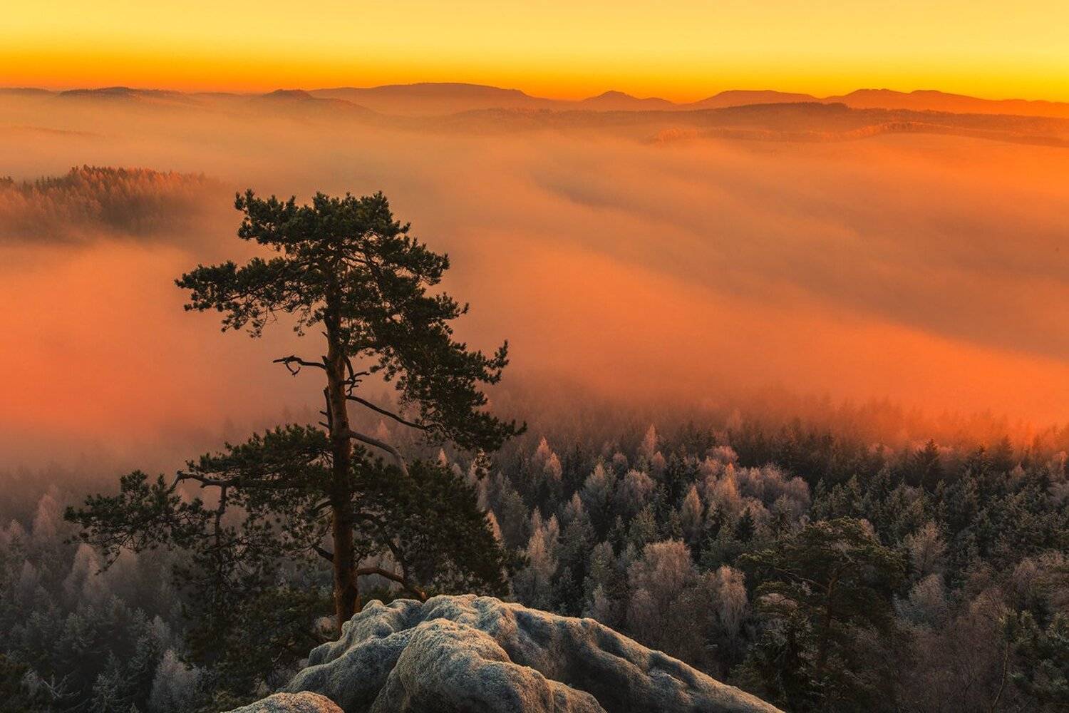 landscape,canon,winter,awakening, Iza,Darek