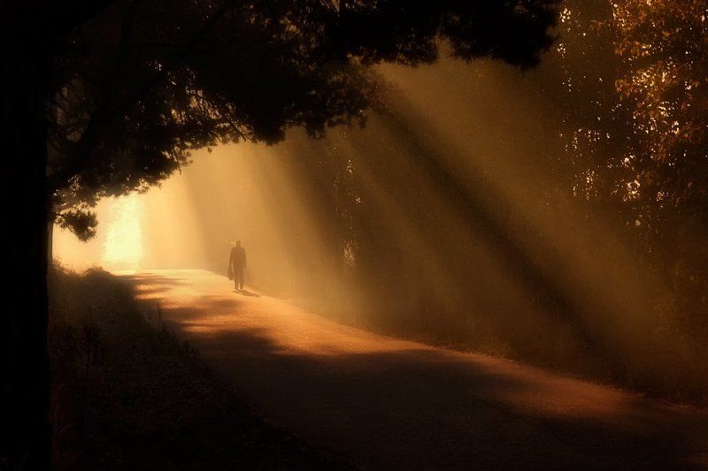 На стороне света фото превью