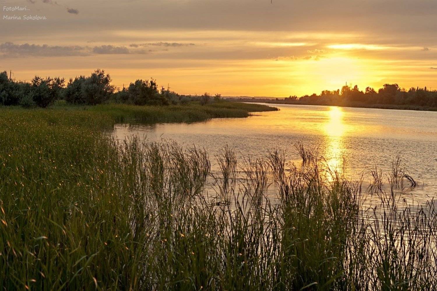 природа,пейзаж,донской пейзаж,закат,дон,река,, Марина Соколова