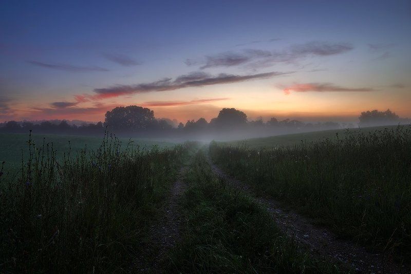 Walking in the mist фото превью