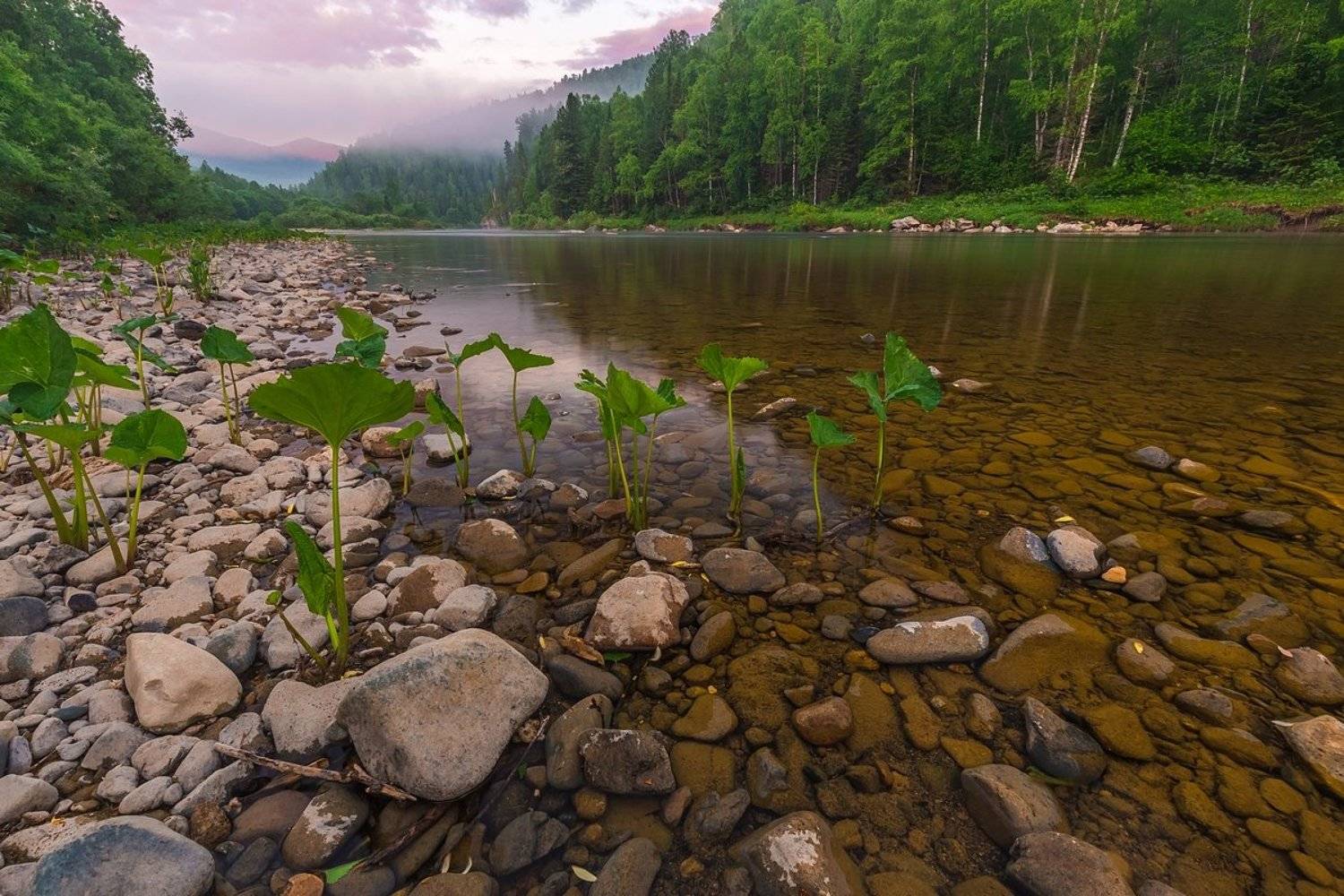 заповедныйпояс, отураладобайкала, photojourneysru, мрас-су, горная шория, шорский национальный парк, кемеровская область, Кирилл Уютнов