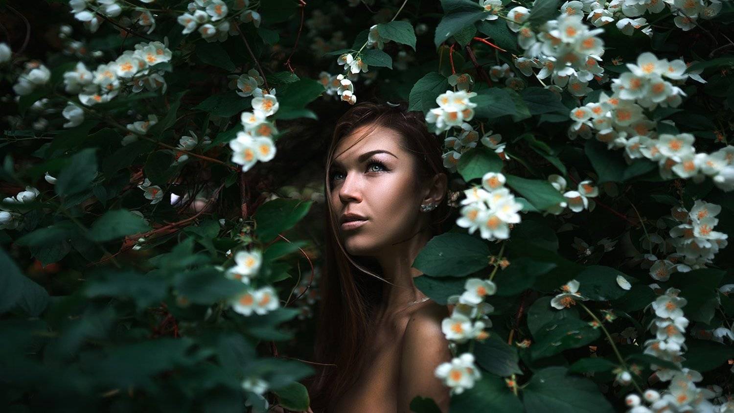 , Максим Густарев