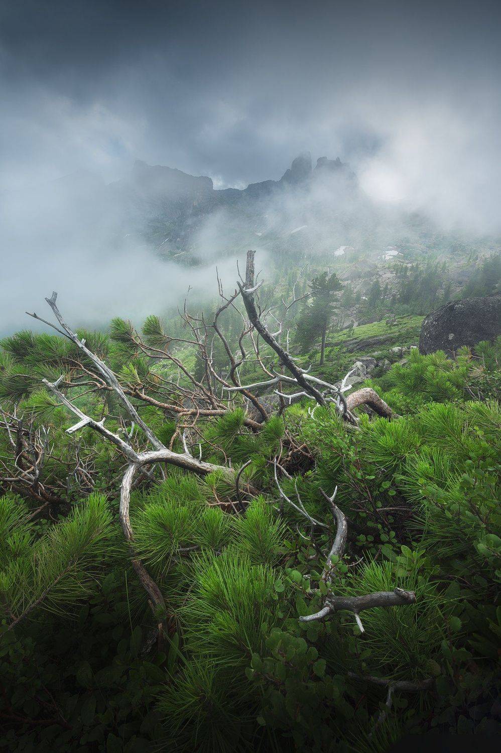 , Бахышев Сафар