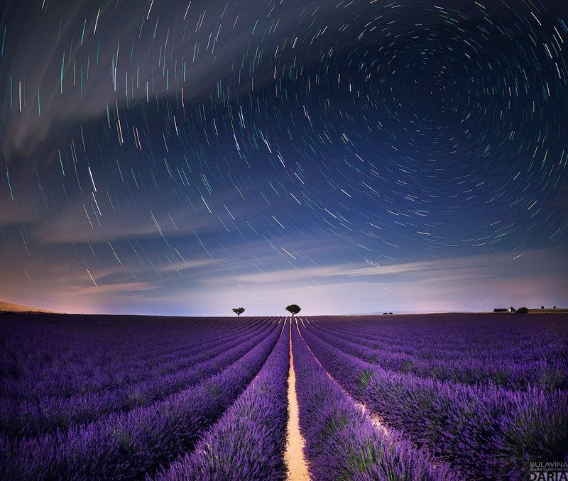 лавандовое поле,  лаванда,  прованс, франция, звезды,  звездное небо Лавандовые поля Прованса фото превью