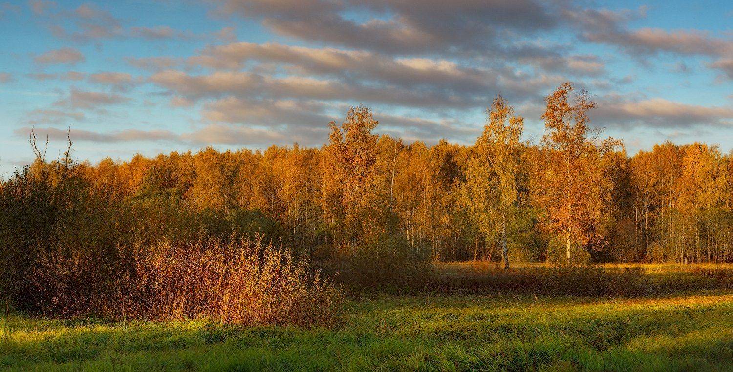 питер, осень, пушкин, царское, царское село, пейзаж, Таня SHE (Aiya)