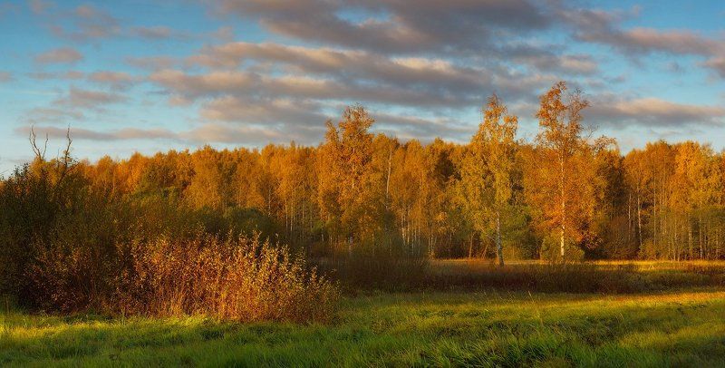 Скоро осень. . . фото превью