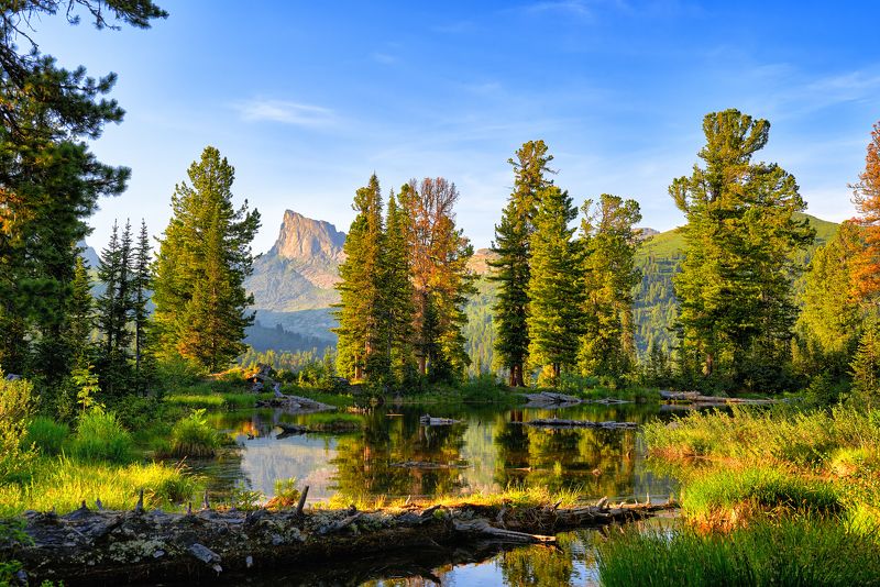 Вечер у небольшого озерка фото превью