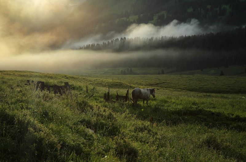 Altai Mt. фото превью